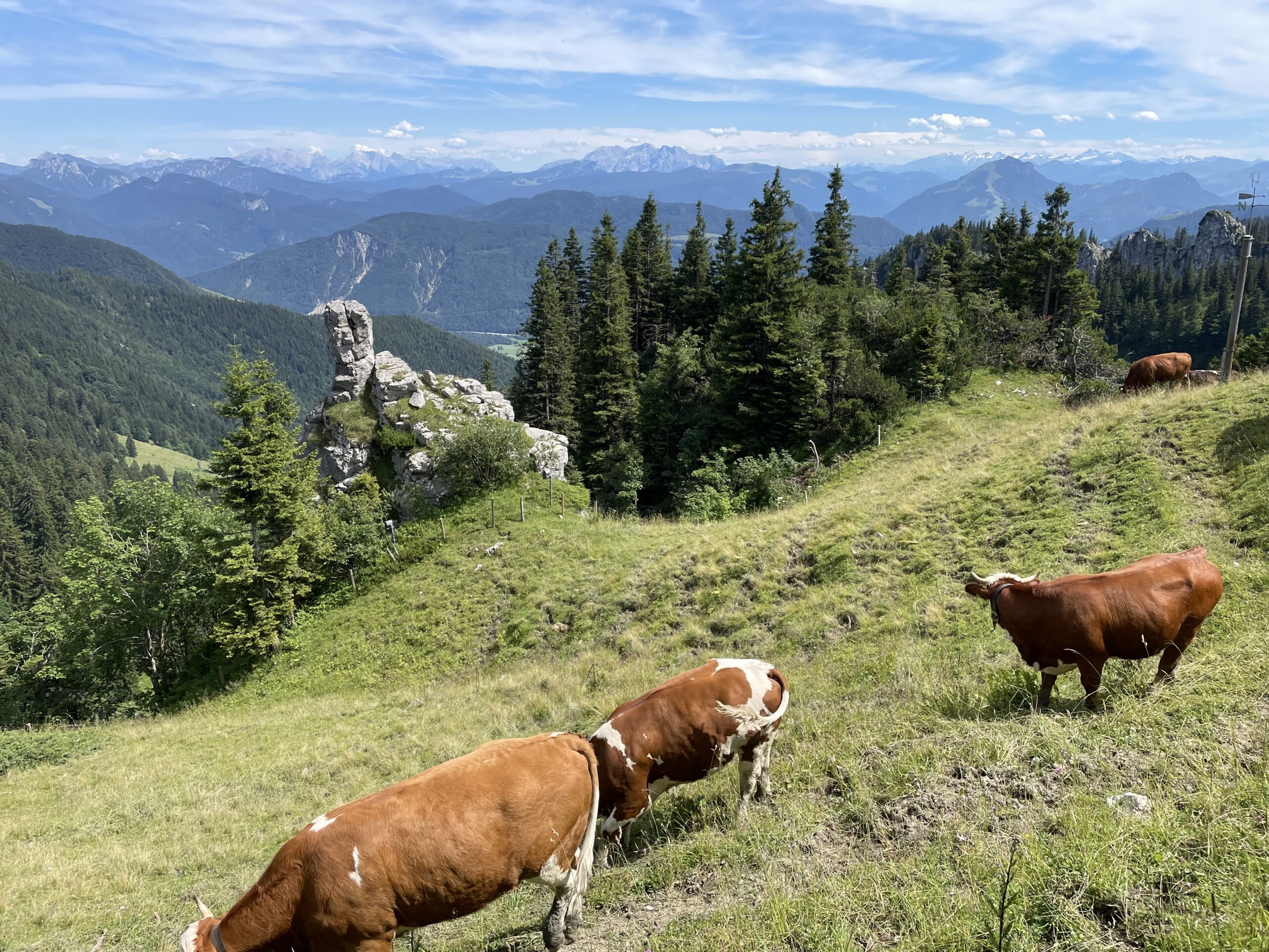 Führungskräftetag der Gemeinde Aschau im Chiemgau mit Blick von der Kampenwand in Richtung Tirol